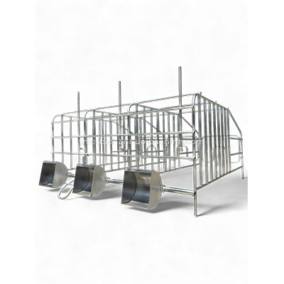 Chuồng heo bầu inox