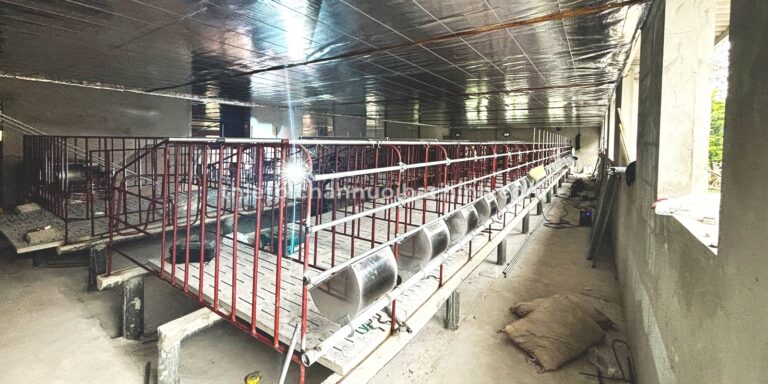 Giới thiệu 7 z6796542931723 4704d33da0696ed548cf800d98f8dcc2