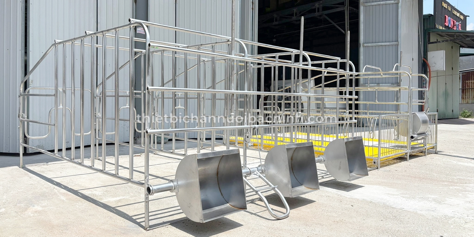 Chuồng heo đẻ inox