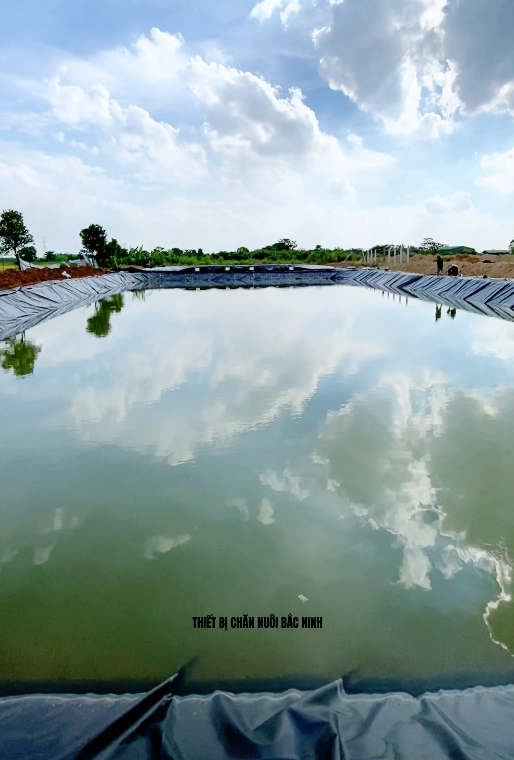 Lắp đặt biogas cho trại 600 nái và 2000 thịt